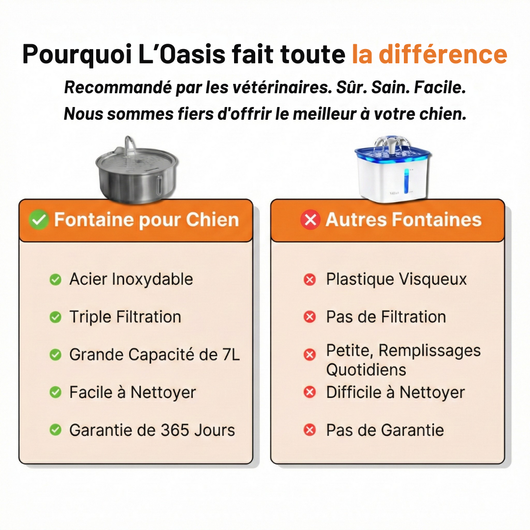 L’ Oasis : Fontaine à Eau en Acier Inoxydable pour Chien