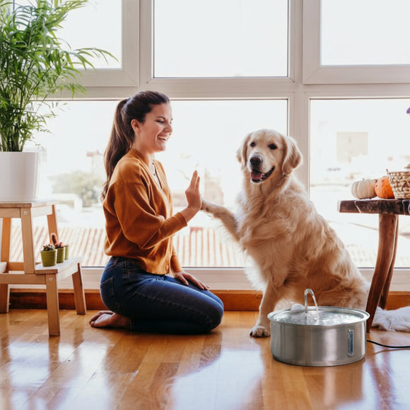 Feature product image