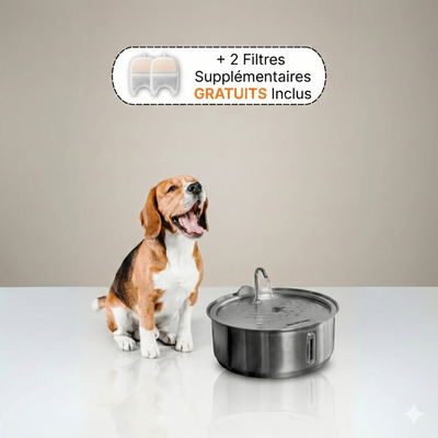 L’ Oasis : Fontaine à Eau en Acier Inoxydable pour Chien