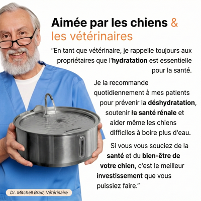L’ Oasis : Fontaine à Eau en Acier Inoxydable pour Chien