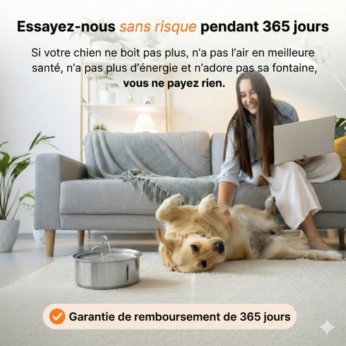 L’ Oasis : Fontaine à Eau en Acier Inoxydable pour Chien