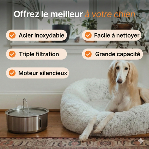 L’ Oasis : Fontaine à Eau en Acier Inoxydable pour Chien